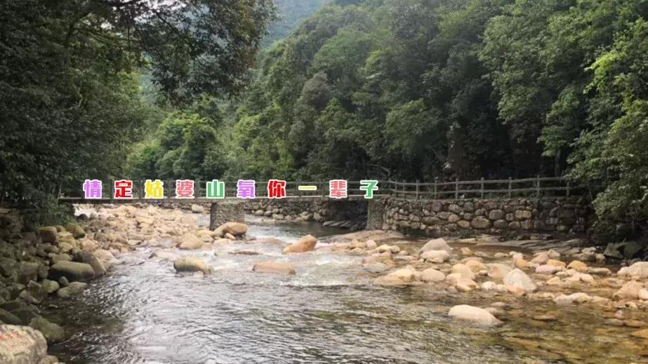 姑婆山纳凉节,2023年姑婆山庙会门票有优惠吗