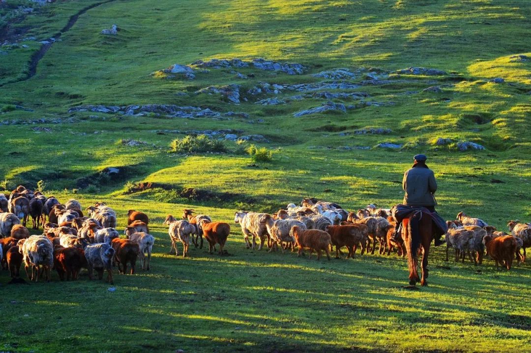 六月的北疆哪些地方值得去,六月的北疆解说