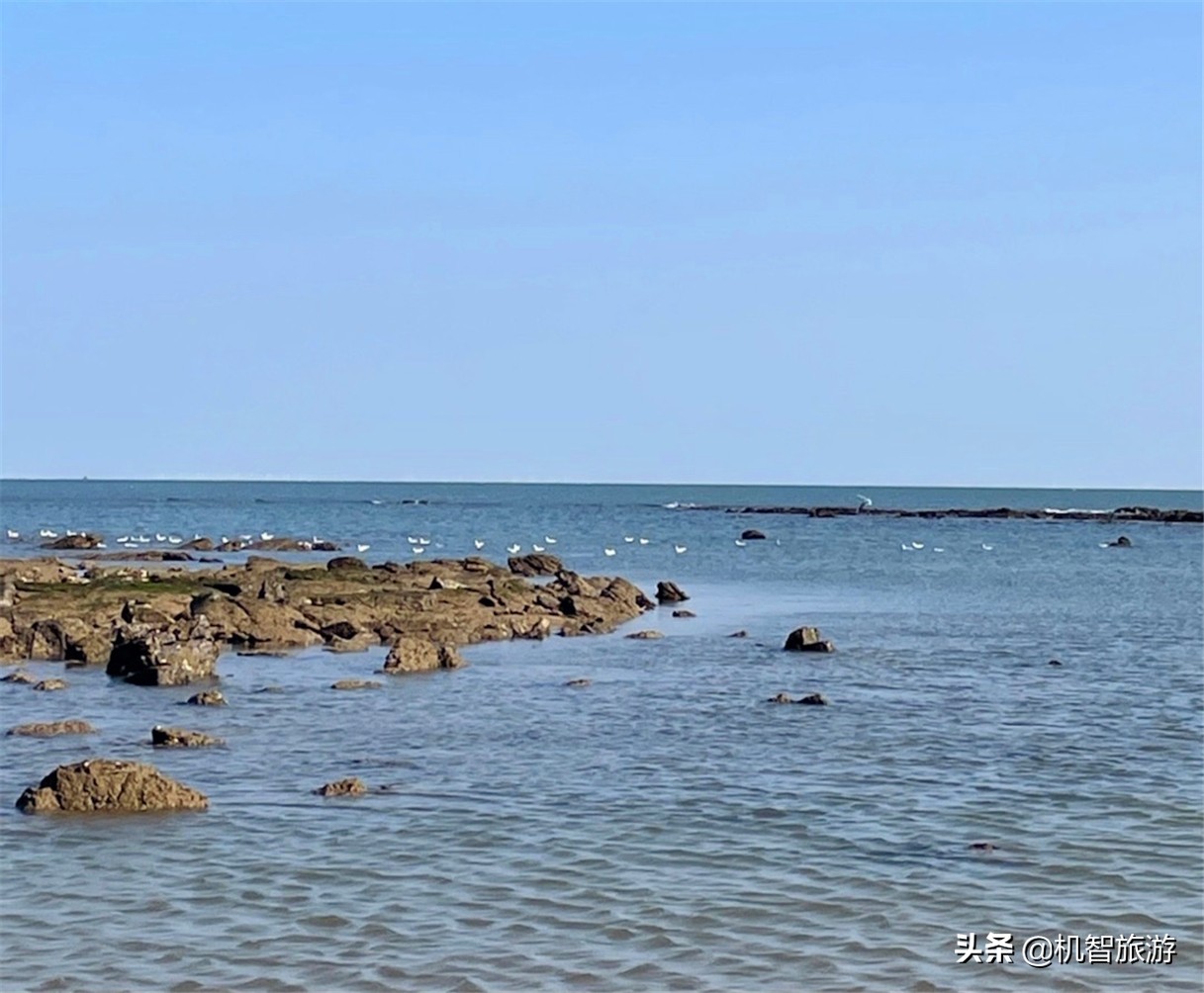 日照旅游攻略白天去哪玩,日照旅游省钱攻略大全
