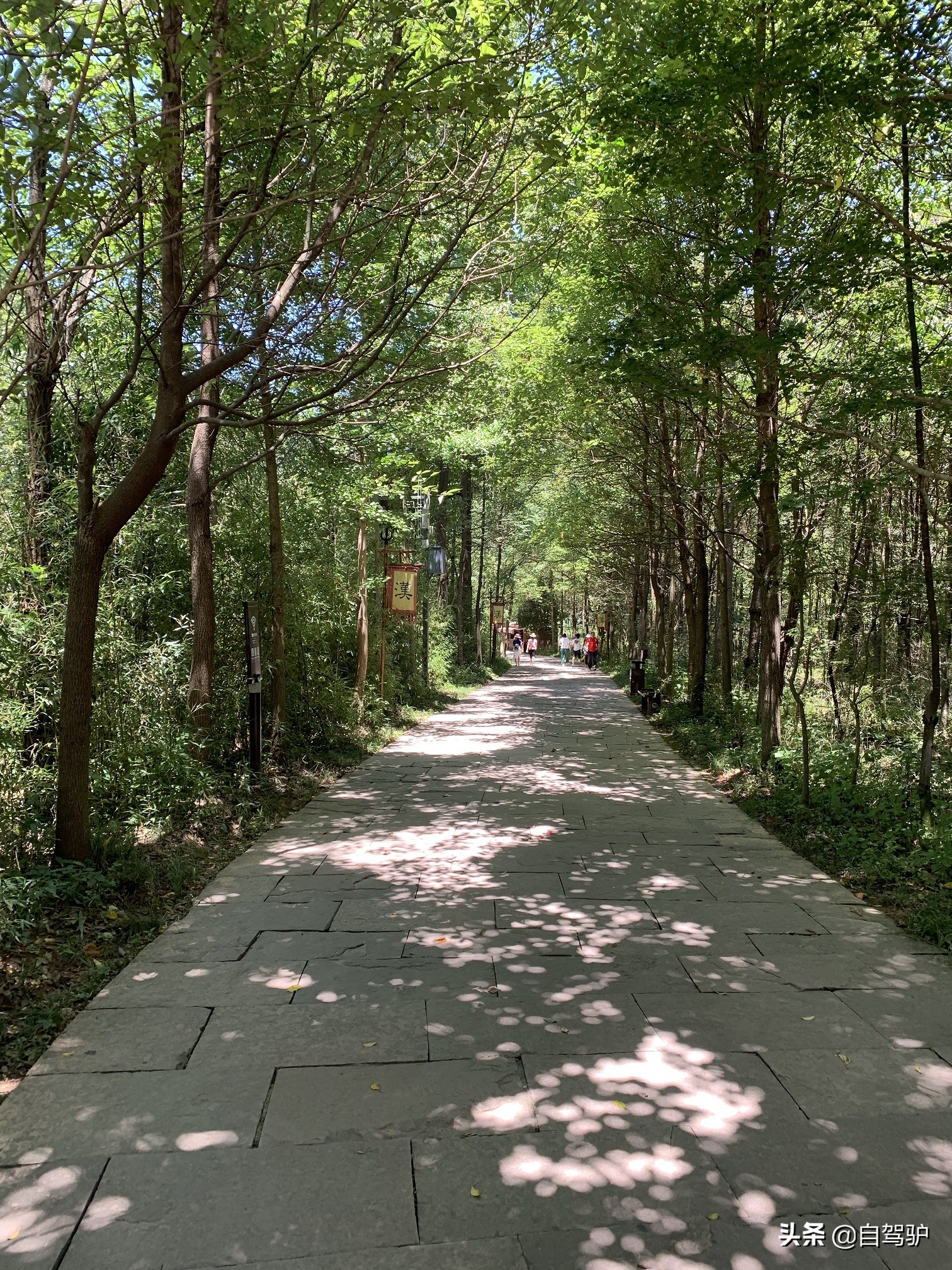 重庆到太原最佳驾车路线,重庆到太原自驾怎么最便宜