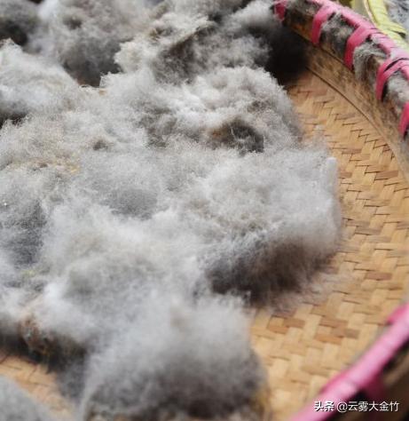 家庭自酿黄豆酱(酱油)-感受食品发酵的神奇