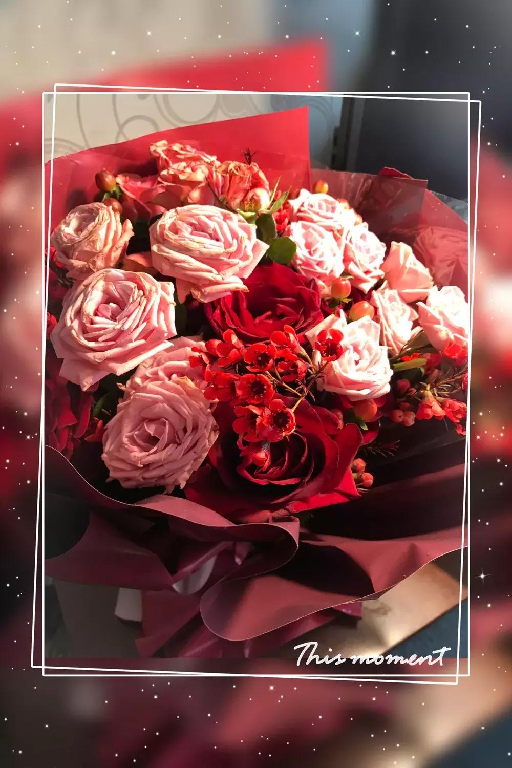 ifer来信|“男朋友”后宫无数,我却一点不吃醋