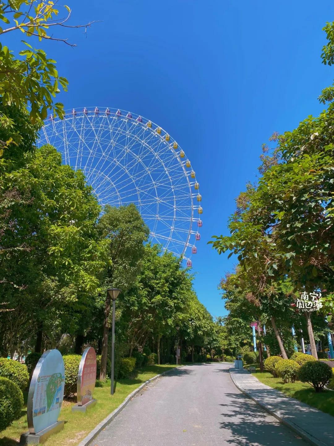 南宁花海公园在哪里,南宁嘉和城附近花海