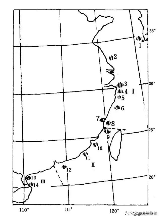 曾是四大海产之一，靠叫声互相识别，却被人类用噪声团灭