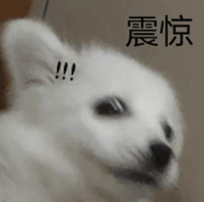 德国人严谨起来到底有多可怕,德国人严谨起来有多可怕的视频