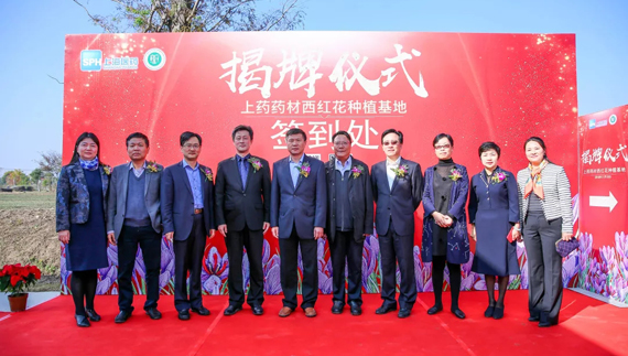 外国藏红花特产,藏红花西藏特产