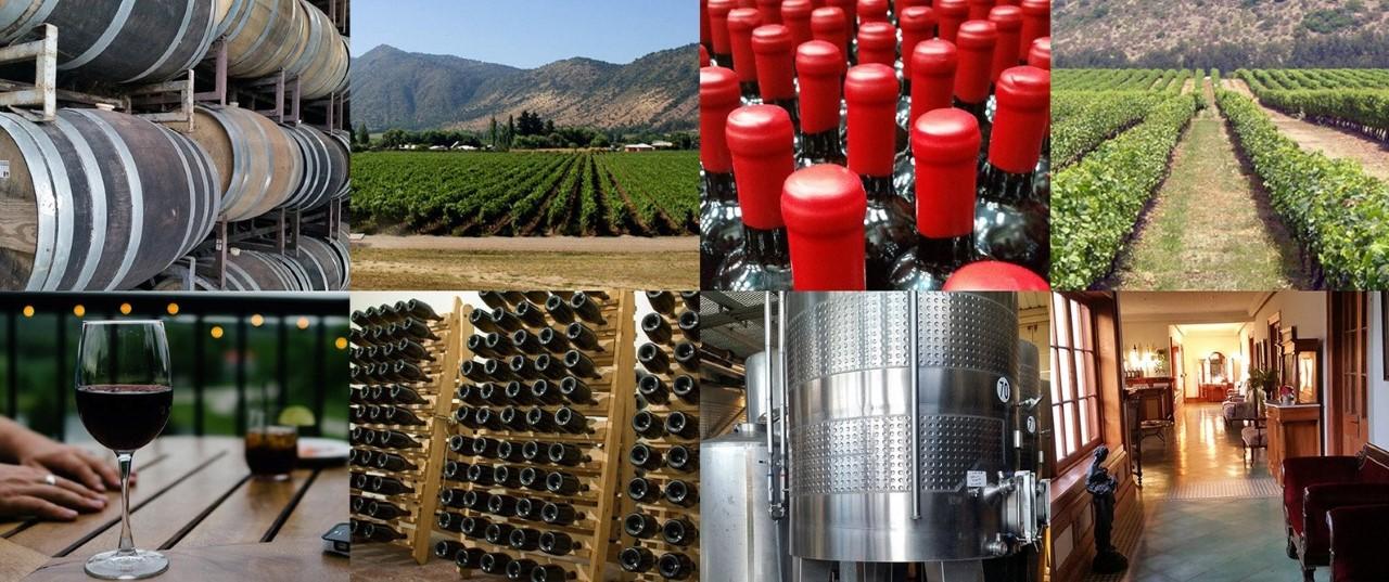 太阳峰酒庄智利名庄,智利寇塔酒庄