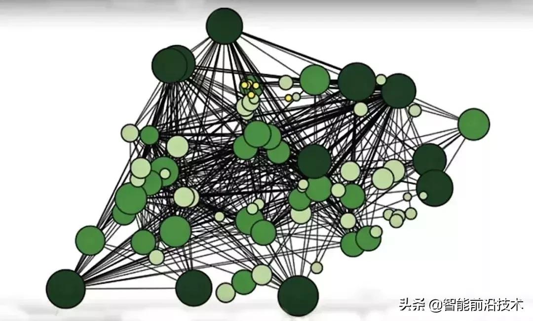 神奇“树联网”,地球本身是一个巨大的超生物体
