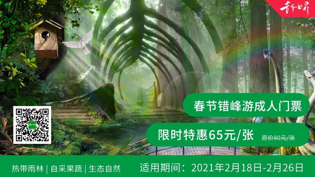 此心安处是吾乡21预告,此心安处是吾乡全季