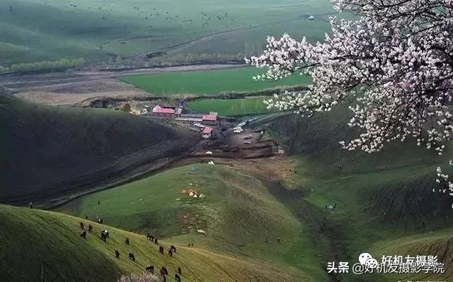 相机拍摄模式基本技巧,相机的拍摄技巧怎么调参数