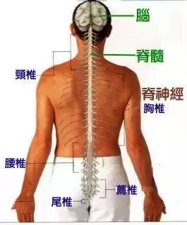 双手拍树治百病,拍手掌治疗疾病