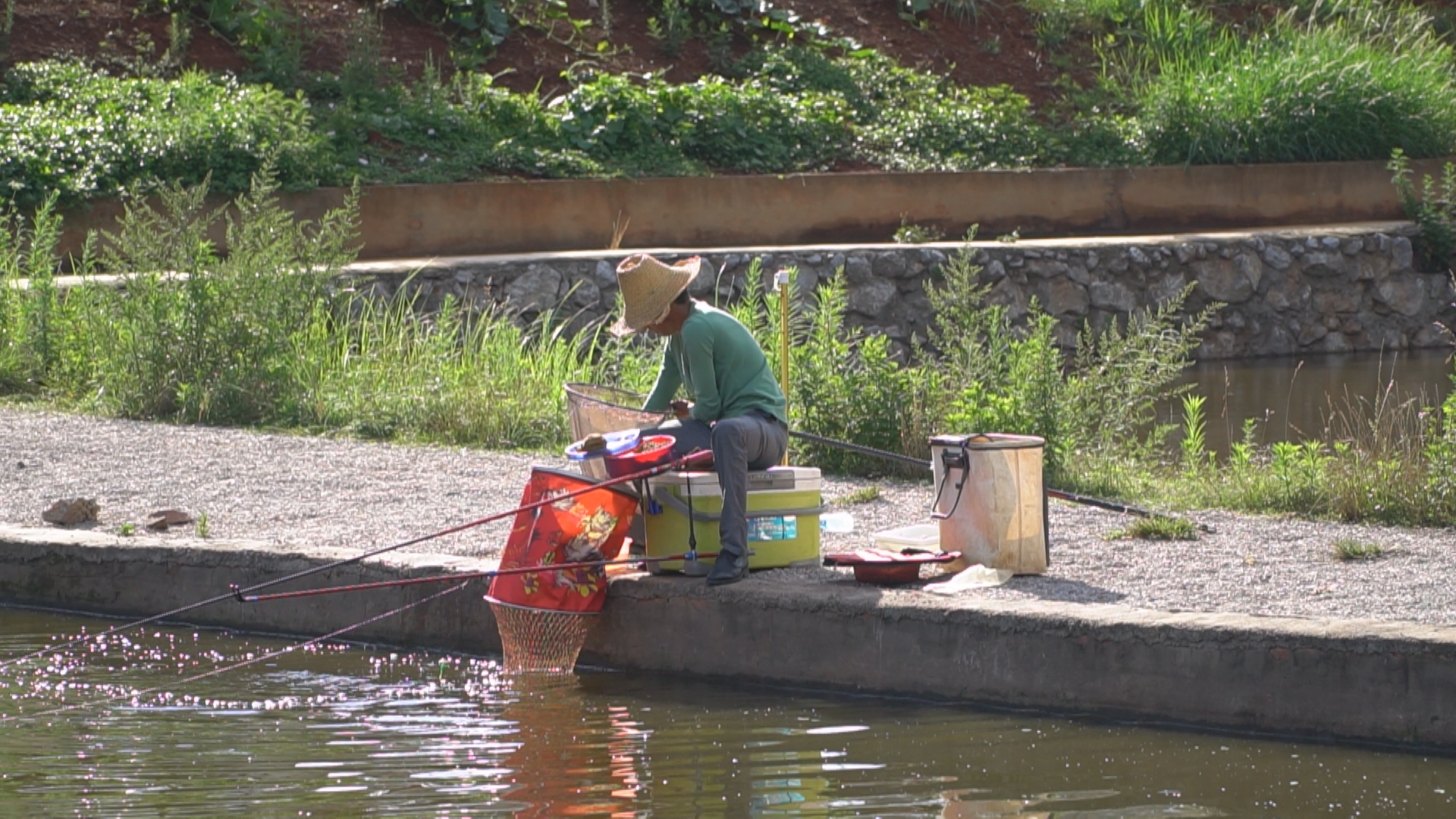 200元左右偷驴竿子,200元偷驴