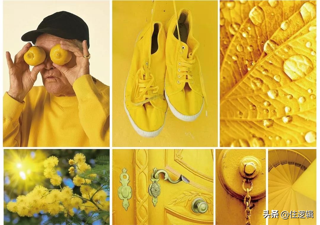 生活有点焦虑,生活有点绿才会红红火火