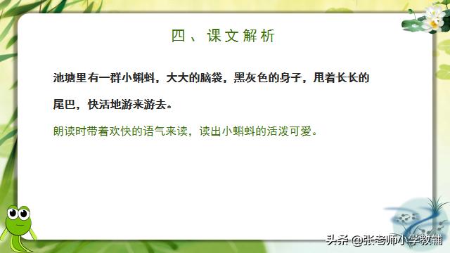 小蝌蚪找妈妈课程分享ppt,小蝌蚪找妈妈ppt教师讲解视频