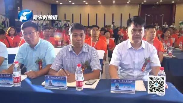 鸿翔集团年会,鸿翔年会