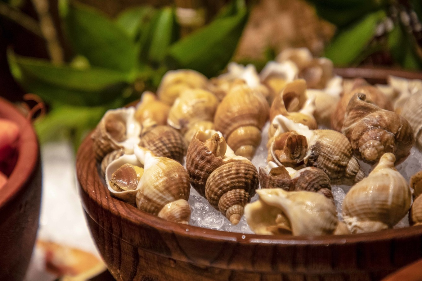 无锡市比较好的酒店,无锡最有意境的酒店