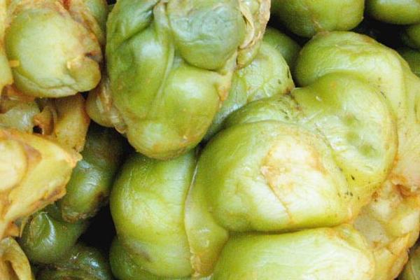 乌江榨菜厂家利润,代理榨菜利润有多少