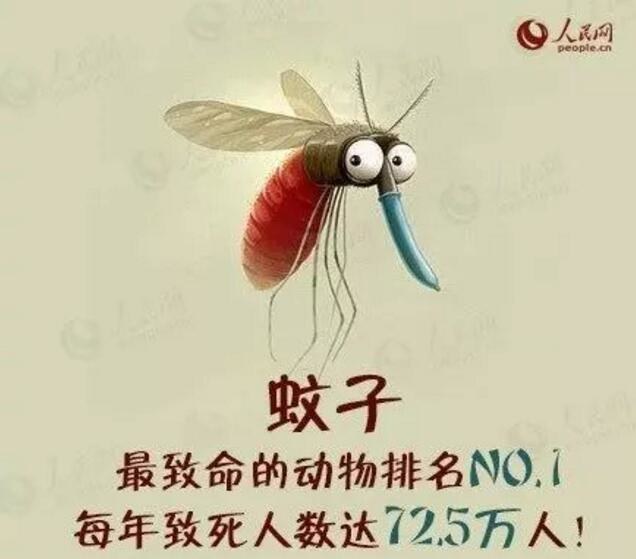 欧洲人睡觉怎么防蚊子,睡觉防蚊最佳方法