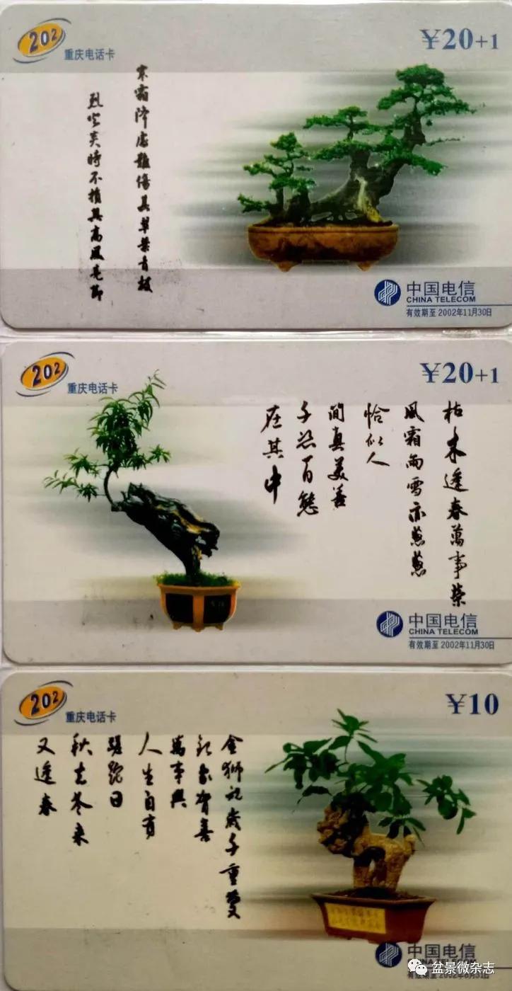鐩嗘櫙鑱旂郴鐢佃瘽鍙风爜,涓鐩嗘櫙鑱旂郴鏂瑰紡