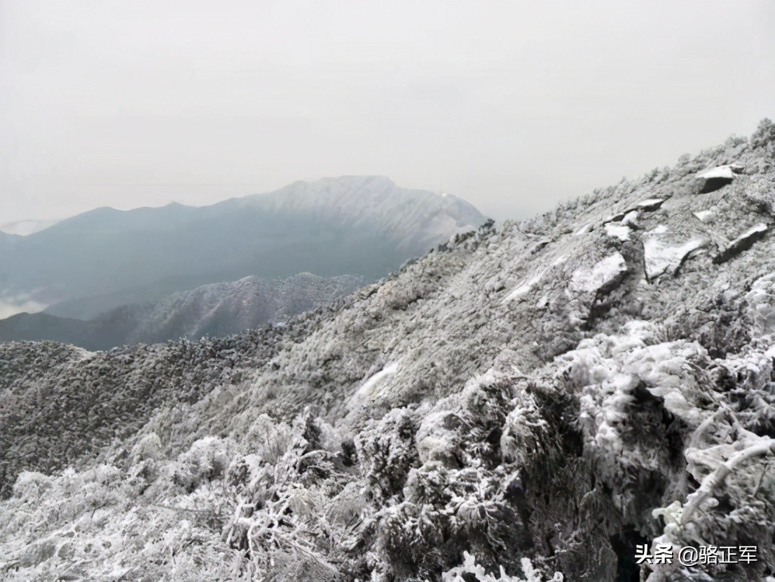 鍗楄僵灏忚鍏ㄩ泦鍏嶈垂闃呰,鍗楄僵浼犲鏁呬簨