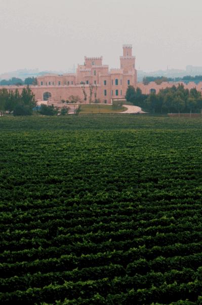 中国骄傲总结,马爹利轩尼诗人头马都是白兰地吗