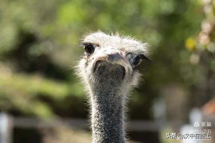 汉中户外遛娃好去处排行榜,汉中遛娃旅游景点有哪些