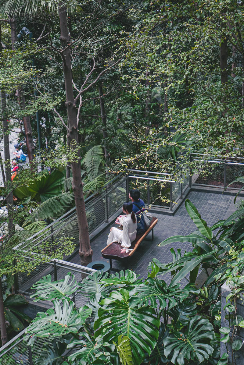 一人一猫环游,一人一猫旅行