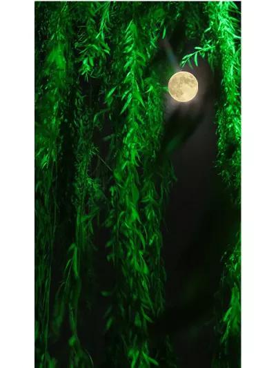 月光下随笔,月光下的随笔