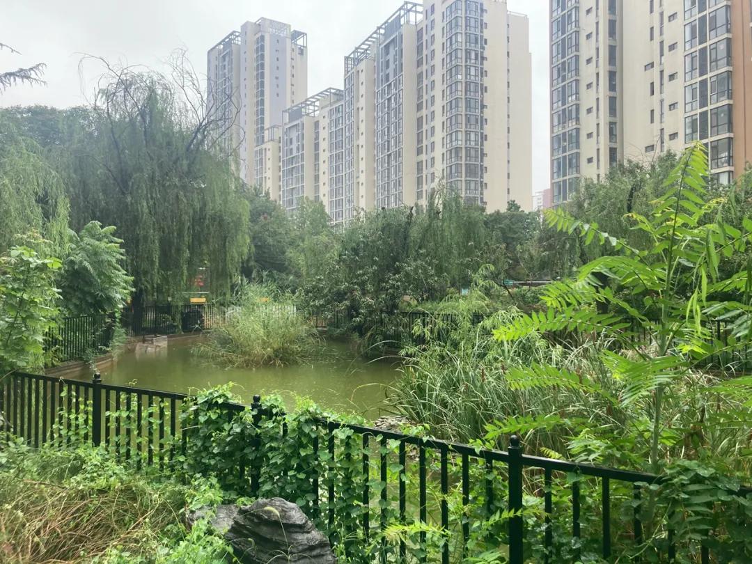 75㎡报价354万地铁500米旁边是万达我劝你谨慎入手