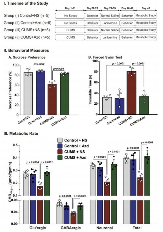 抑郁生物标志物,重度抑郁症患者神经元