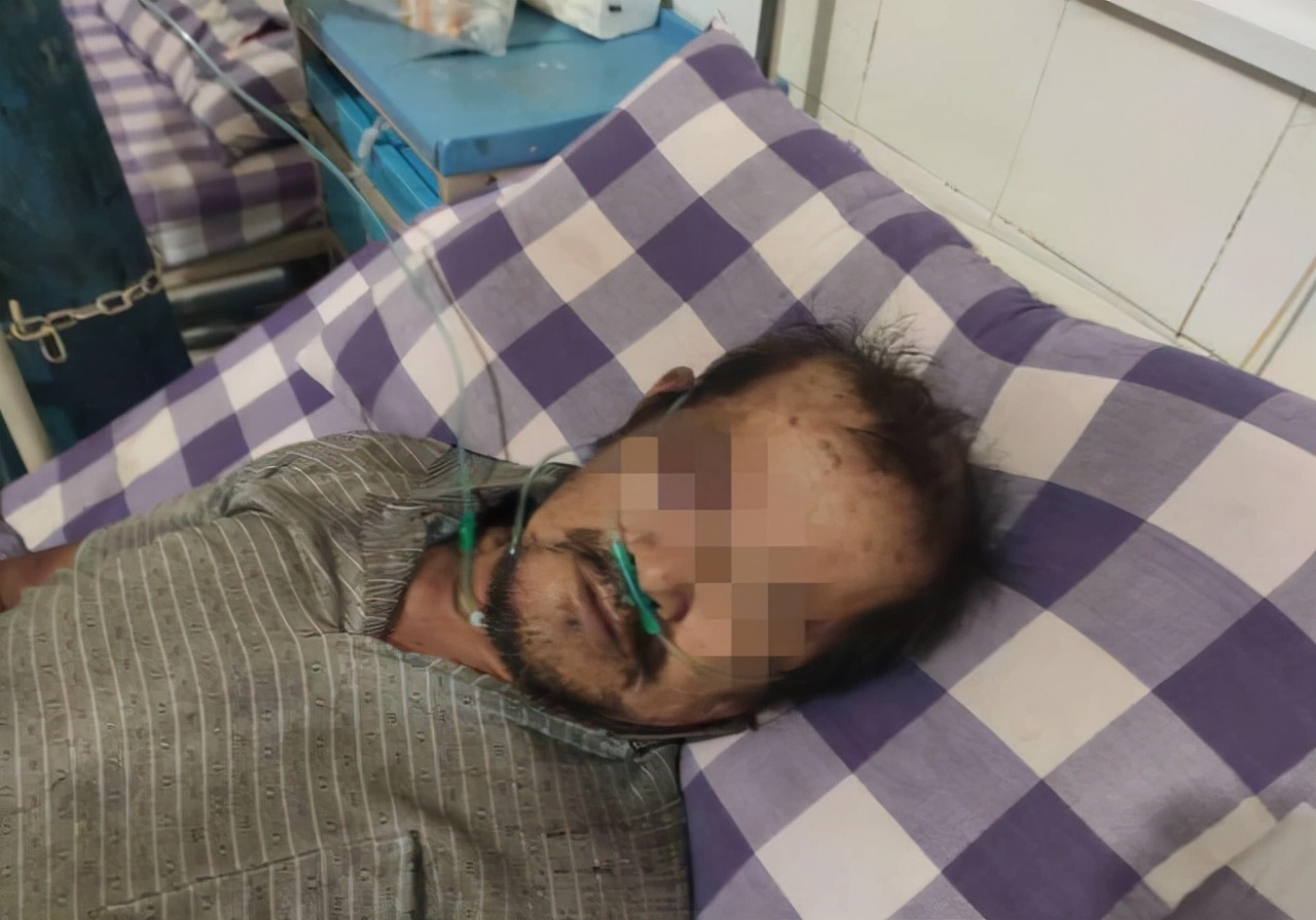 罕见！四川一男子收获2.4米196斤红娘大黑蜂蜂窝，它究竟有多毒？