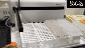 儿童滑板车到底实用不实用,便宜的儿童滑板车有危害吗