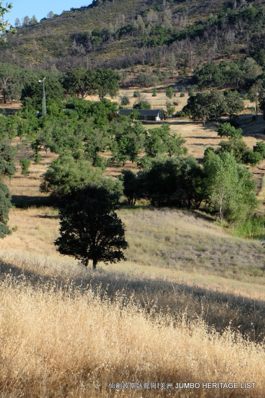 第3045回:人生一世草生一春,来如风雨去似微尘