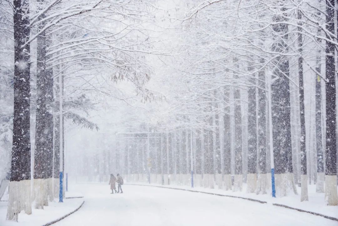 旅游三亚和厦门哪个更值得去,三亚和厦门哪一个更值得去旅游
