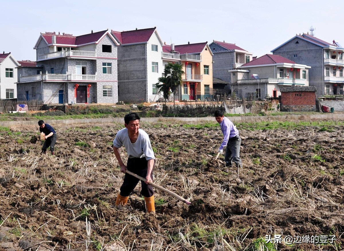 7月份,农村耕地“三不准”落地,集中清理“地闲房空人荒”问题