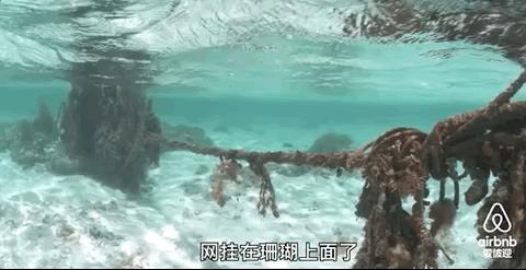 彭于晏苏有朋,彭于晏和苏有朋