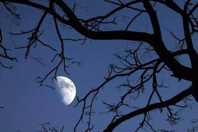 苏东坡经典说说,董宇辉眼中的苏东坡