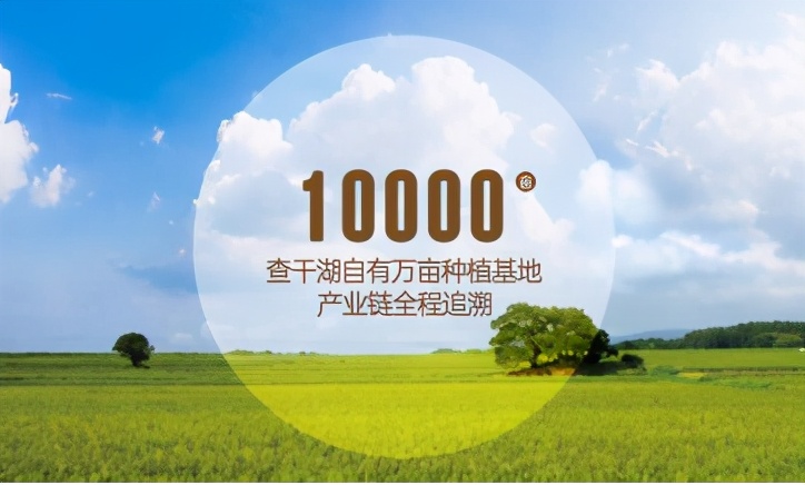 端午节送什么礼品给同学,送给中高考的礼物