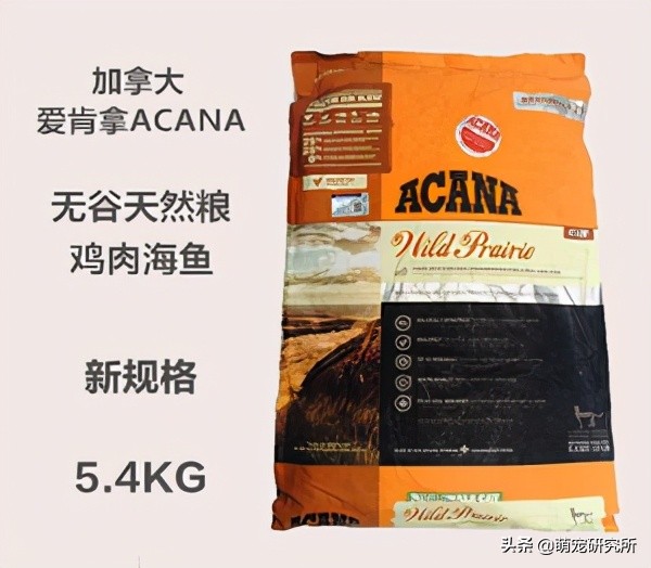 养猫猫粮推荐测评,养猫猫粮推荐卡通