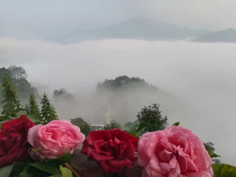 疫情过后娱乐行业重创,疫情过后旅游业的反弹