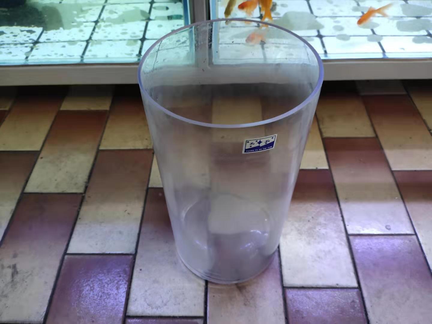 小鱼缸可以养小型观赏鱼吗,鱼缸耐活好养的小型观赏鱼