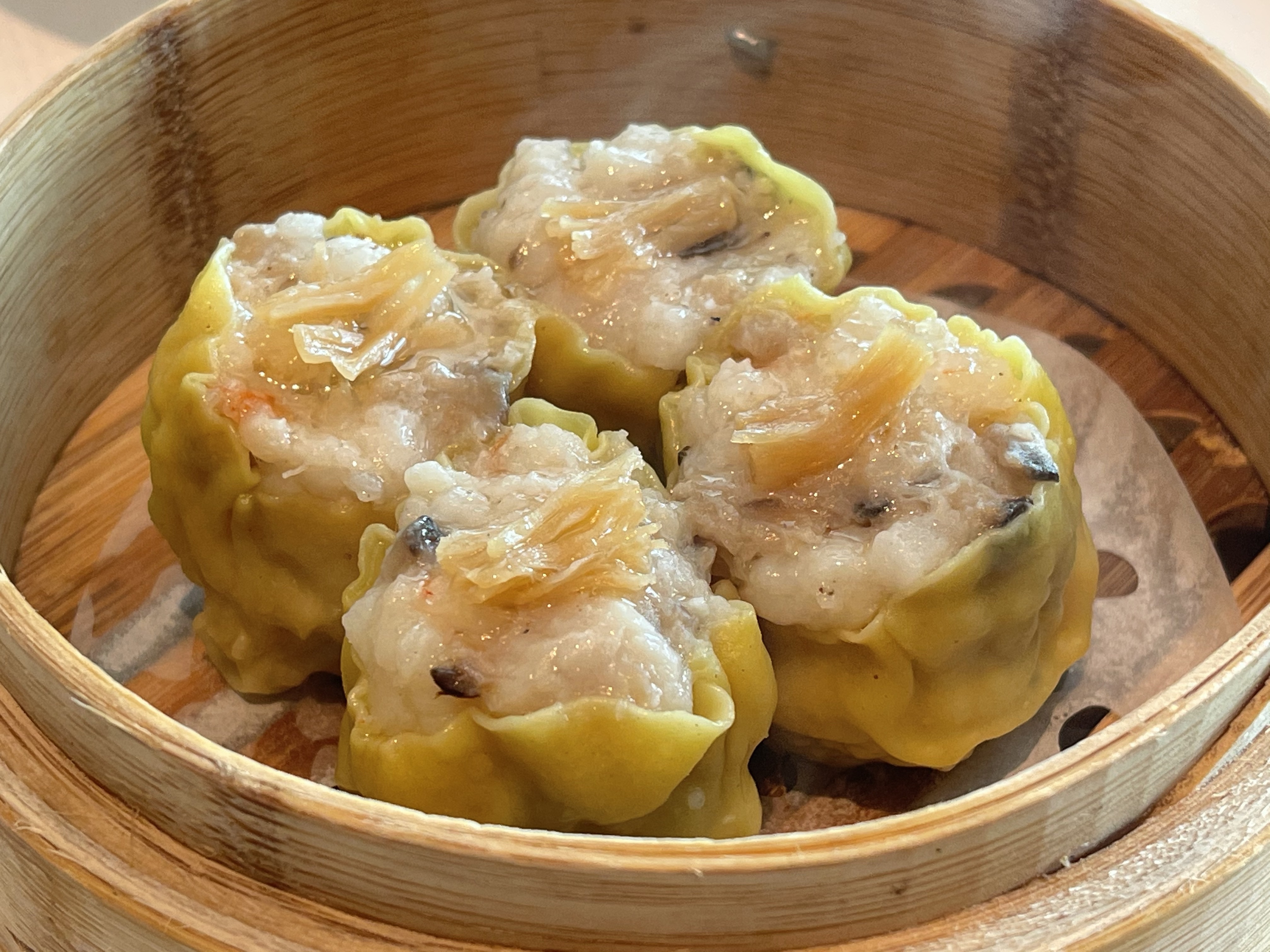 澳门之行最贴心的旅游攻略,澳门之行旅游攻略