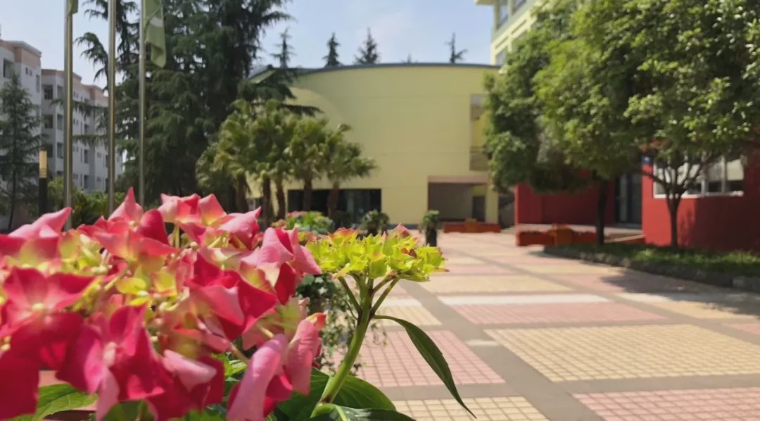 “温度”的师资,“韧度”的国际课程体系。青苗,你的不二之选