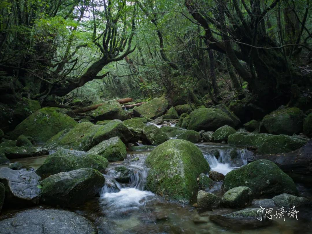 学摄影没多久买个什么相机中等的,初级学摄影买什么相机