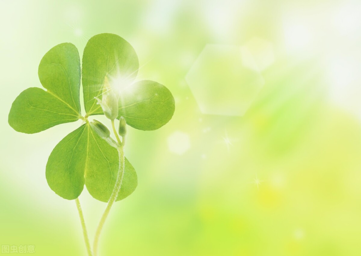 真正成熟的人是什么心态,太幼稚的人怎样变得成熟