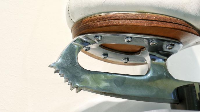 凤凰涅磐黑檀木,凤凰涅磐破茧重生