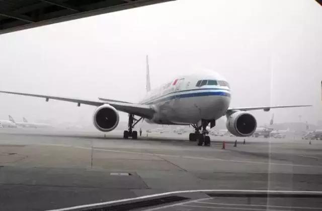 上海办事大厅电话,上海办事通讯录大全