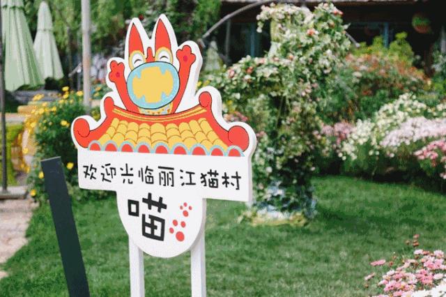 抢占亿万级IP风口，这家公司差异化突围