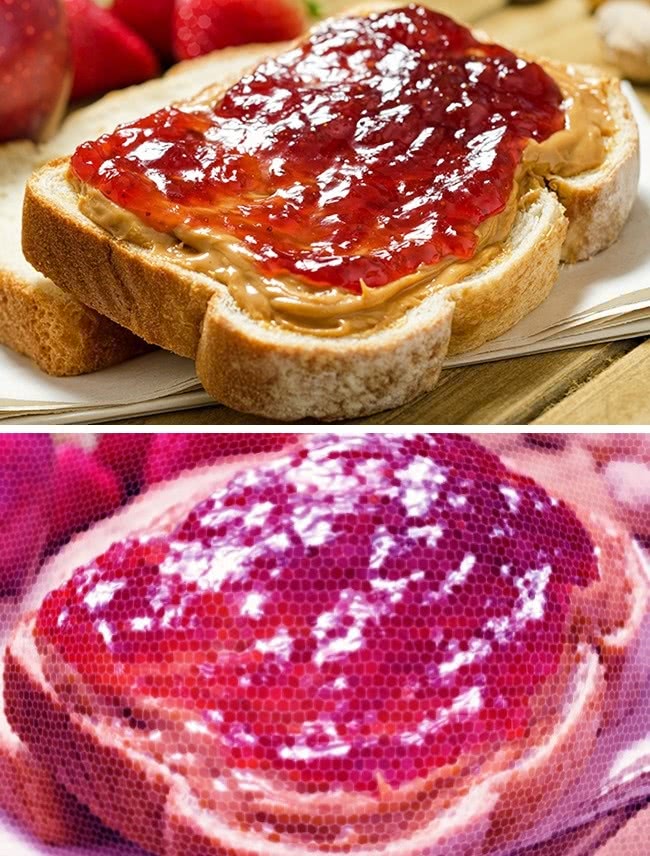 什么动物视力模糊不清,视力与人类一样的动物