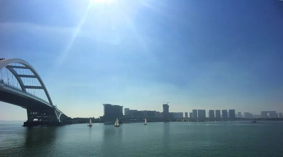 985冷门专业和一本热门专业,这10个冷门专业正开始变热门